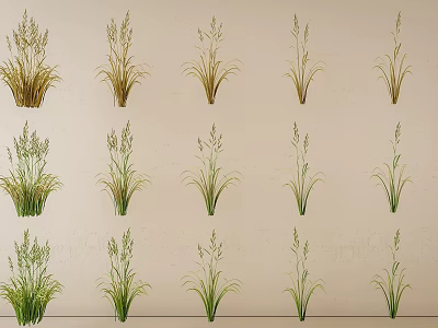 Various Types of Decorative Grasses in Different Green and Gold Tones Arranged Neatly 3d model