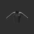 Black Jacket With White Stripes Zipper Closure And Classic Logo Design