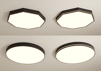 Modern minimalist ceiling lamp 3d model