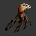 Red Clawed Crab With Dark Body And Detailed Legs On Dark Background