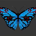 Blue And Red Spotted Butterfly With Spread Wings On Gray Background And Reflection