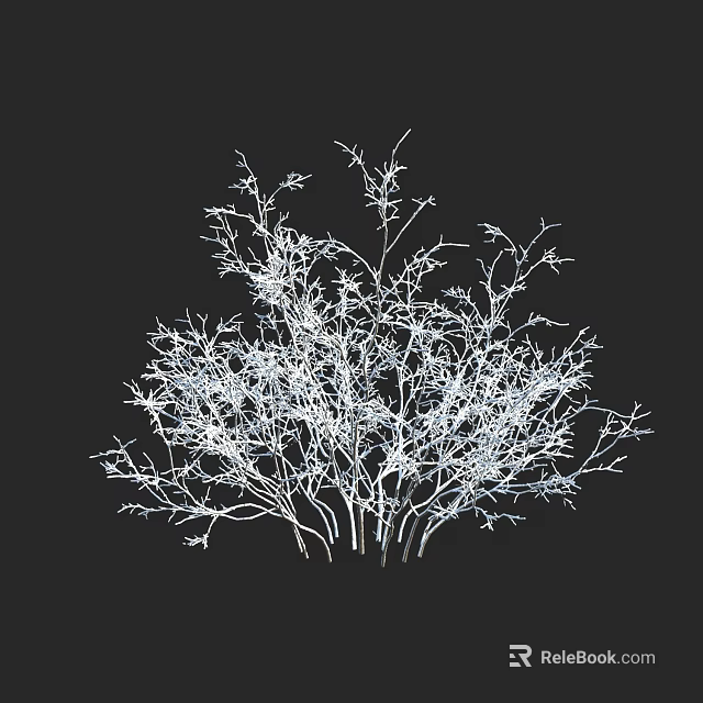 Detailed White Line Art Shrub Illustration on Black Background with Intricate Branches 3d model 