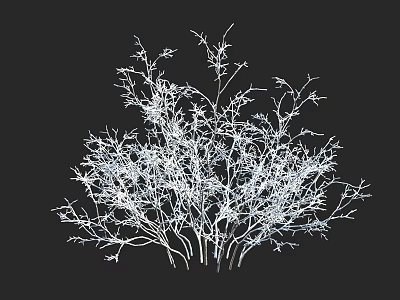 Detailed White Line Art Shrub Illustration on Black Background with Intricate Branches 3d model