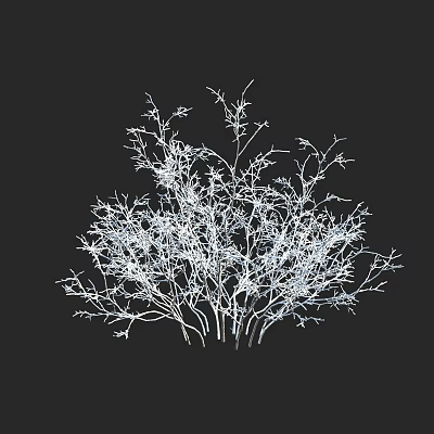 Modern Winter Snow Tree Snow Plant Snow Shrub 3d model