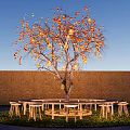 Outdoor Space With Tree Orange Yellow Leaves Hanging Lanterns Round Wooden Table And Stools