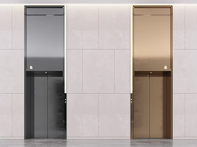 Modern Public Facilities Elevators In Black And Gold With Light Colored Wall Design 3d model