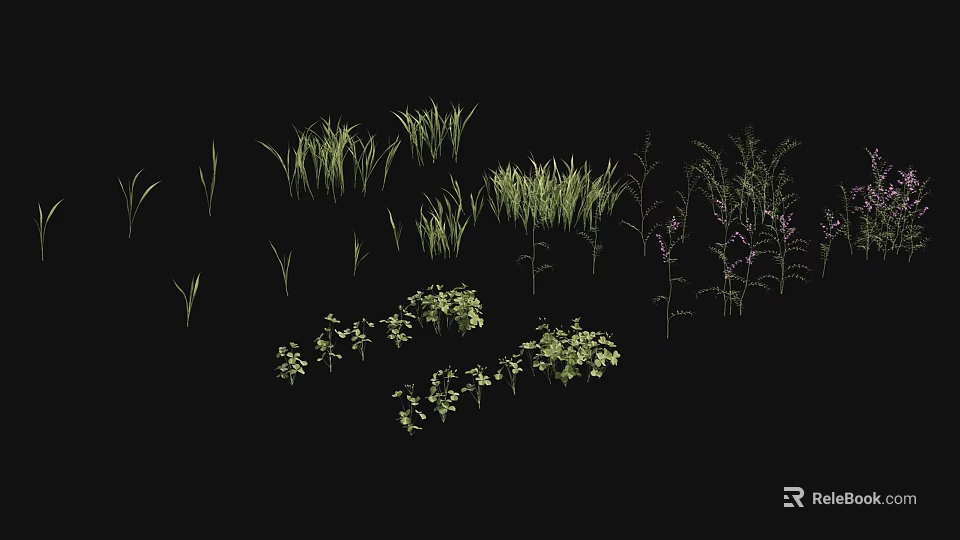 Diverse Green Grass And Herb Plants With Different Heights For Garden Landscaping 3d model 
