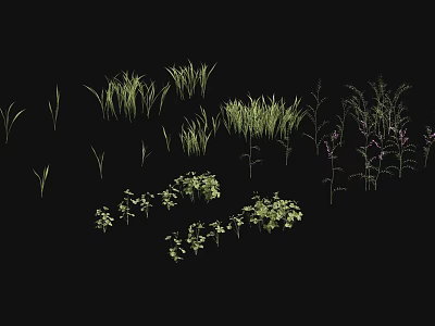 Diverse Green Grass And Herb Plants With Different Heights For Garden Landscaping 3d model