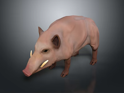 Realistic 3D Model of Light Brown Wild Boar With Tusks on Dark Background 3d model