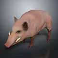 Realistic 3D Model of Light Brown Wild Boar With Tusks on Dark Background