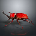 Realistic Red Horned Beetle With Shiny Exoskeleton On Dark Background Surface