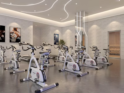 Modern Swimming Pool Area With Exercise Equipment And Wall Posters 3d model