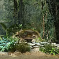 Garden Landscape With Forest Background Stone Built Arched Entrance Moss Covered Green Plants And Ferns