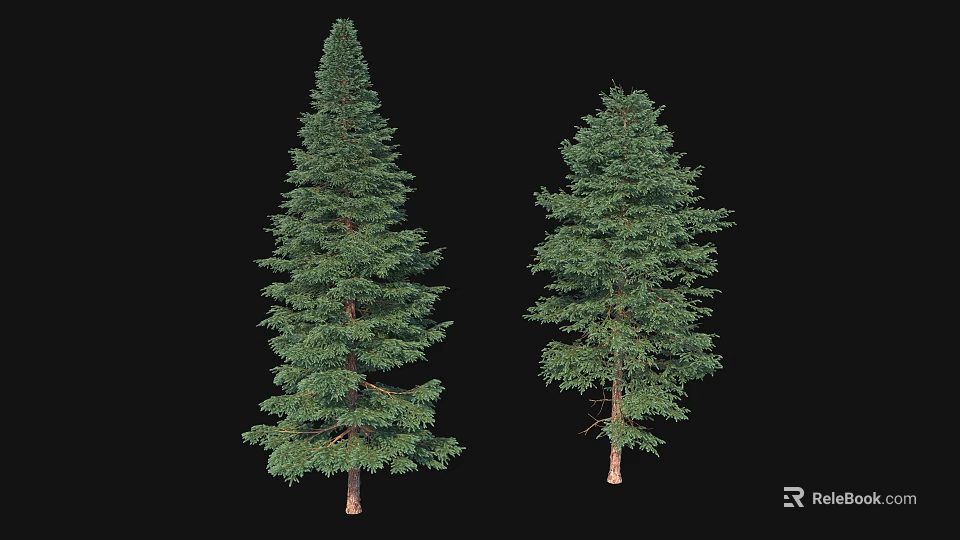 Two Green Arbor Trees With Lush Foliage And Brown Trunks Isolated On Black 3d model 