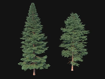 Two Green Arbor Trees With Lush Foliage And Brown Trunks Isolated On Black 3d model
