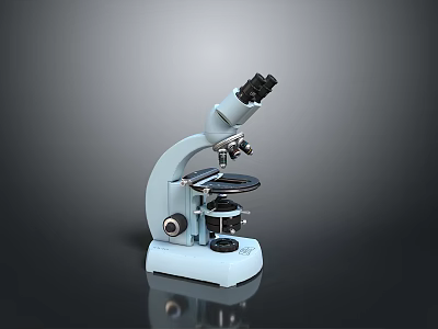 Professional Home Use Microscope with Adjustable Lenses and Stable Stand for Educational Purposes 3d model