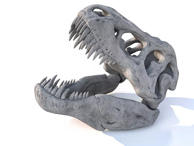 Realistic Dinosaur Skull Stone Sculpture With Open Mouth Sharp Teeth 3d model