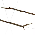 Natural Stone Wood Branches Featuring Rough Texture and Brown Tones on White Background