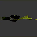 Vibrant Healthy Green Leaves With Ripe Red Fruit On Dark Background