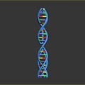 molecular chain gene chain digital daily necessities 3d model