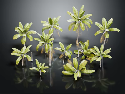 Various Green Plants With Different Sizes And Lush Leaves For Home Decor 3d model