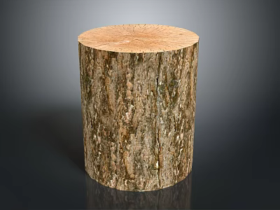 Natural Arbor Tree Stump With Rough Bark Texture And Cross Section Top 3d model