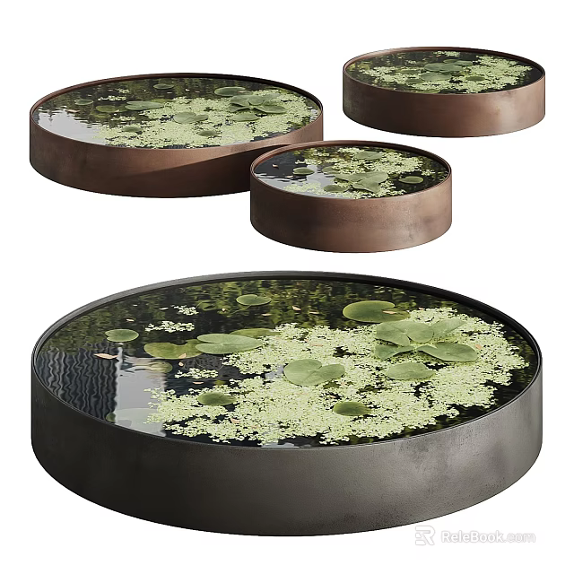 Waterfront Landscape With Circular Pools Featuring Water Lilies Duckweed And Metal Rims 3d model 
