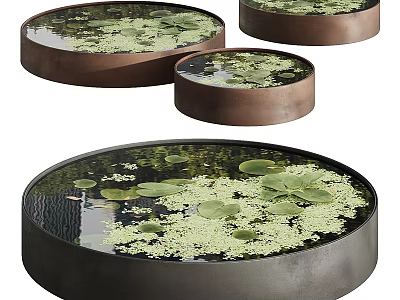 Waterfront Landscape With Circular Pools Featuring Water Lilies Duckweed And Metal Rims 3d model