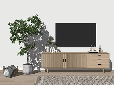 Modern Wooden TV Stand with TV Green Plant and Decorative Items in Living Room 3d model