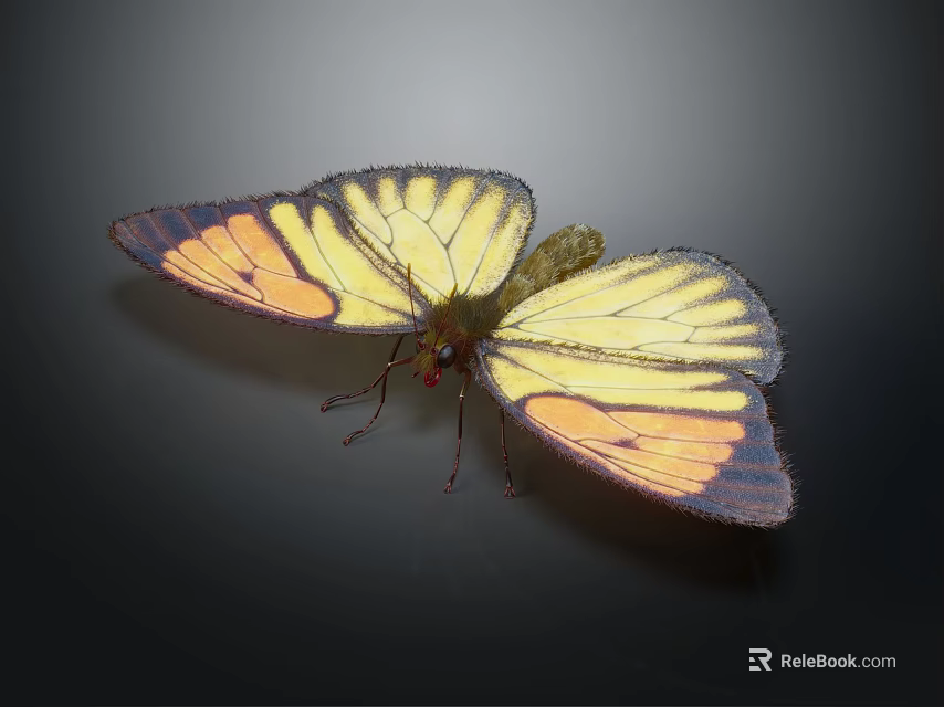 Vibrant Yellow And Orange Butterfly With Black Edged Wings On Dark Background 3d model 