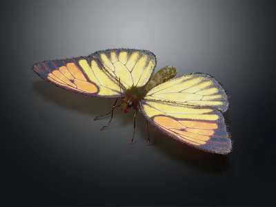 Vibrant Yellow And Orange Butterfly With Black Edged Wings On Dark Background 3d model