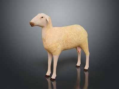 Light Yellow 3D Sheep Model In Standing Pose On Dark Reflective Background Surface 3d model