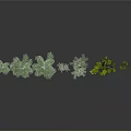 Different Types of Green Trees with Various Heights on Dark Reflective Surface Against Gray Background