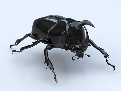 Handmade Realistic Black Beetle Sculpture With Intricate Details And Craftsmanship 3d model