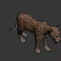 Detailed Realistic 3D Leopard Model With Spotted Fur And Lifelike Stance