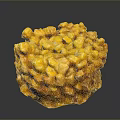 Cheesy Baked Corn Casserole With Golden Crispy Texture And Savory Flavor