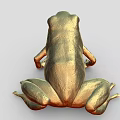 Golden Frog Sculpture with Metallic Shiny Texture and Detailed Physical Features