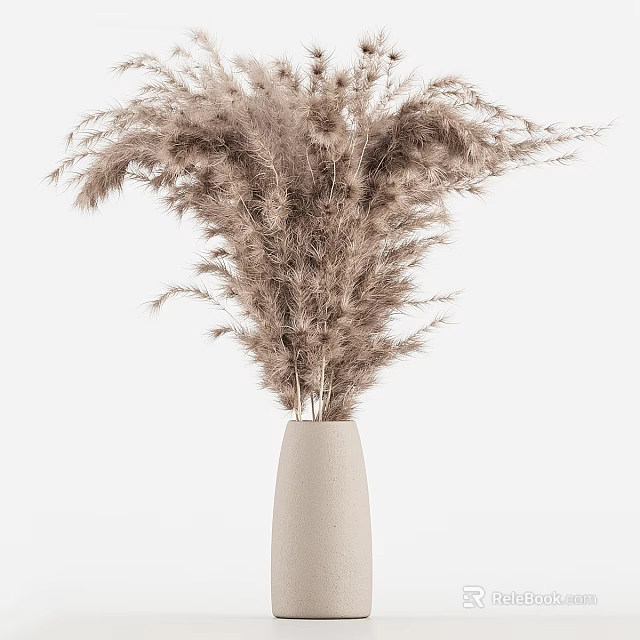Cream Colored Ceramic Vase With Light Brown Pampas Grass On White Background 3d model 