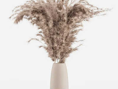 Cream Colored Ceramic Vase With Light Brown Pampas Grass On White Background 3d model
