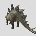 Stegosaurus Dinosaur 3D Model With Back Plates And Tail Spikes In Standing Pose 3d model