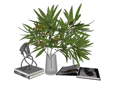 Elegant Decorative Ornament Set With Transparent Vase Green Foliage Yellow Flowers And Books 3d model