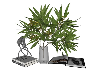 Modern Ornaments Combination Vase Ornaments Books model