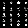 2D Animal Footprints Cat Dog Bird Poultry Paw Black and White Silhouette 3d model