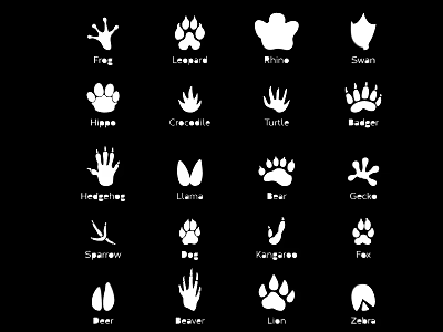 Animal and Paw Print Silhouette Collection Featuring Frog Leopard Tiger and Handprint 3d model