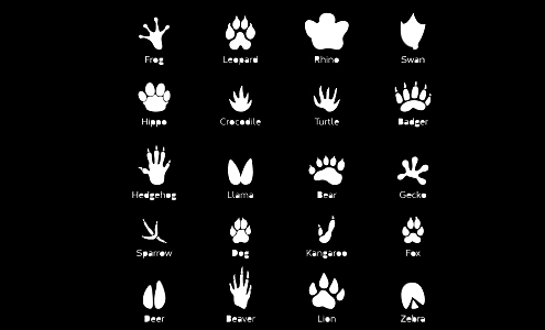 2D Animal Footprints Cat Dog Bird Poultry Paw Black and White Silhouette 3d model