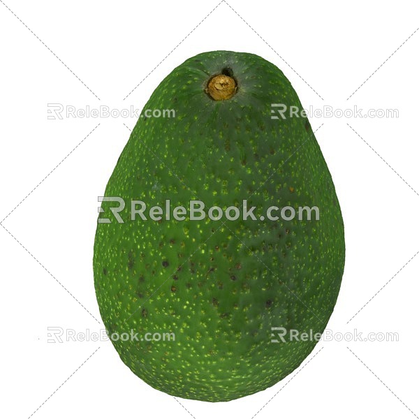 avocado avocado avocado avocado fruit 3d model