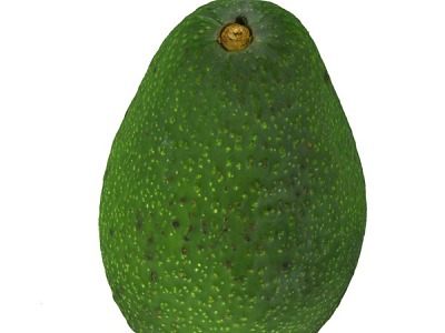 avocado fruit 3d model