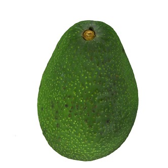 avocado fruit 3d model