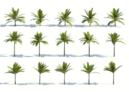 Modern Palm Tree 3d model