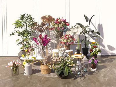 Bonsai and Potted Plants Display with Various Green Foliage and Colorful Flowers in Different Containers 3d model